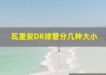 瓦里安DR球管分几种大小