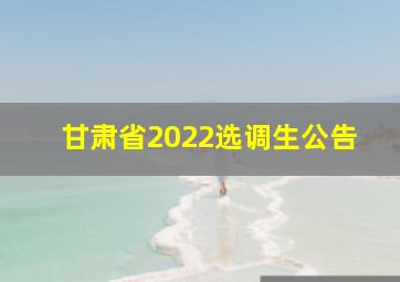 甘肃省2022选调生公告