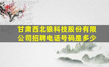 甘肃西北狼科技股份有限公司招聘电话号码是多少