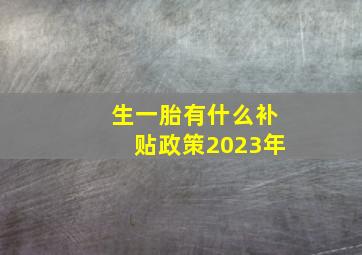 生一胎有什么补贴政策2023年