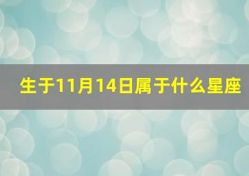 生于11月14日属于什么星座