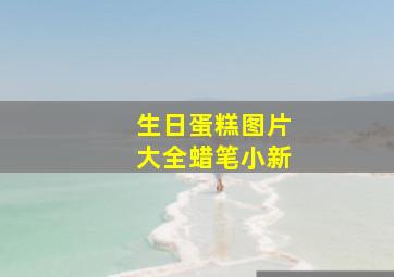 生日蛋糕图片大全蜡笔小新