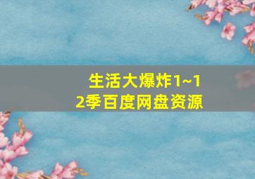 生活大爆炸1~12季百度网盘资源