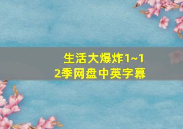 生活大爆炸1~12季网盘中英字幕