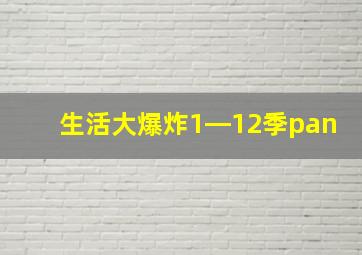 生活大爆炸1―12季pan