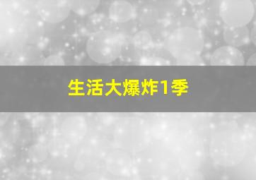 生活大爆炸1季