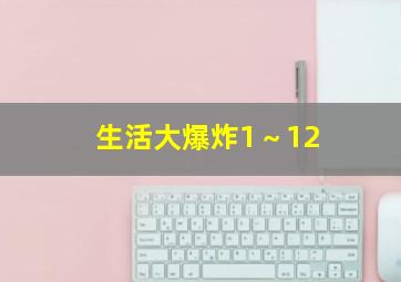 生活大爆炸1～12