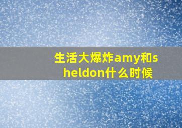 生活大爆炸amy和sheldon什么时候