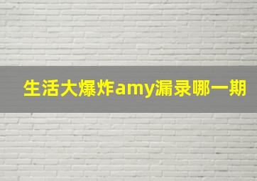 生活大爆炸amy漏录哪一期