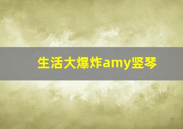 生活大爆炸amy竖琴