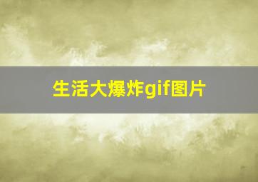 生活大爆炸gif图片