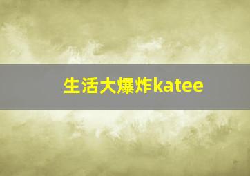 生活大爆炸katee