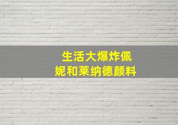 生活大爆炸佩妮和莱纳德颜料