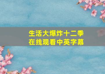 生活大爆炸十二季在线观看中英字幕