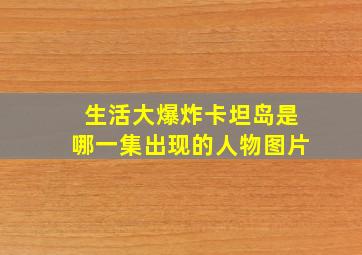 生活大爆炸卡坦岛是哪一集出现的人物图片