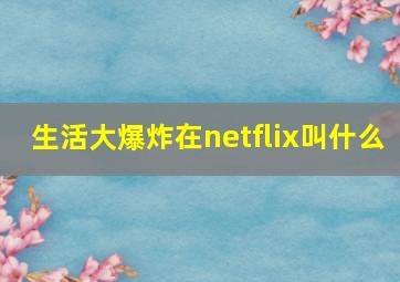 生活大爆炸在netflix叫什么