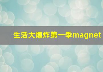 生活大爆炸第一季magnet