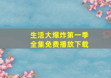 生活大爆炸第一季全集免费播放下载