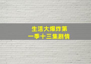 生活大爆炸第一季十三集剧情