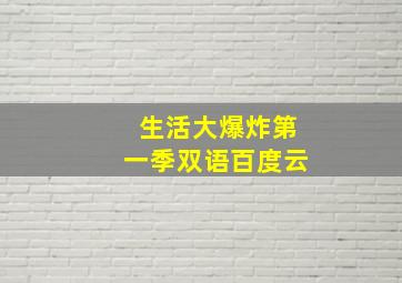 生活大爆炸第一季双语百度云