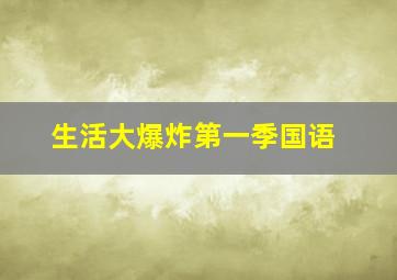 生活大爆炸第一季国语