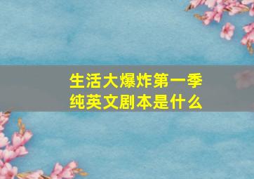 生活大爆炸第一季纯英文剧本是什么