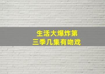 生活大爆炸第三季几集有吻戏