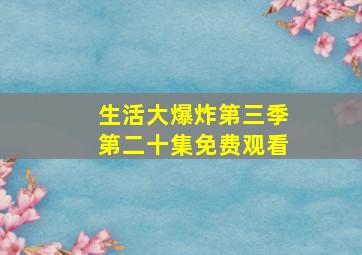 生活大爆炸第三季第二十集免费观看