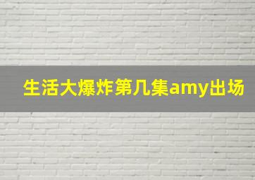 生活大爆炸第几集amy出场