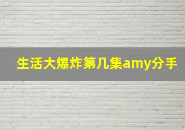 生活大爆炸第几集amy分手