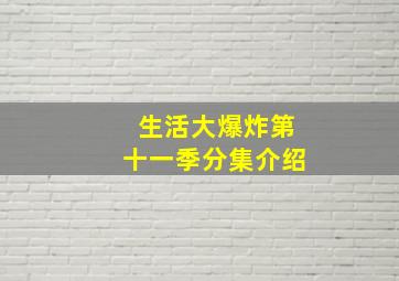 生活大爆炸第十一季分集介绍