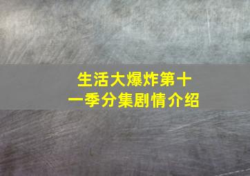 生活大爆炸第十一季分集剧情介绍