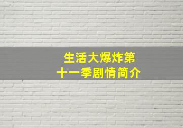 生活大爆炸第十一季剧情简介