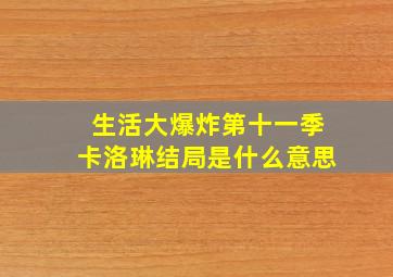 生活大爆炸第十一季卡洛琳结局是什么意思