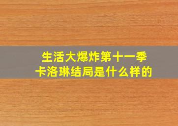 生活大爆炸第十一季卡洛琳结局是什么样的