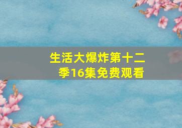 生活大爆炸第十二季16集免费观看