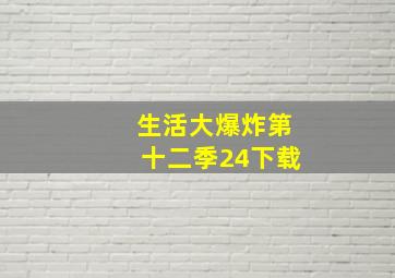 生活大爆炸第十二季24下载