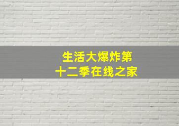 生活大爆炸第十二季在线之家