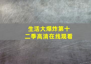 生活大爆炸第十二季高清在线观看