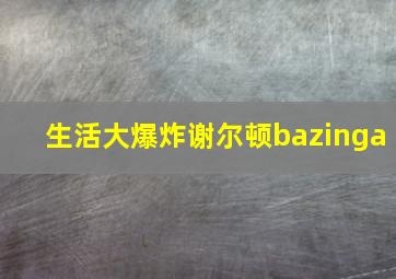 生活大爆炸谢尔顿bazinga