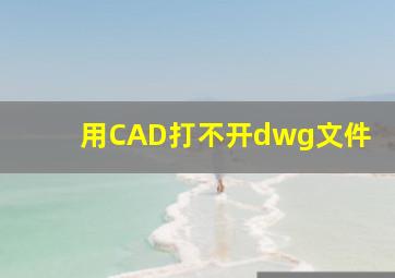 用CAD打不开dwg文件