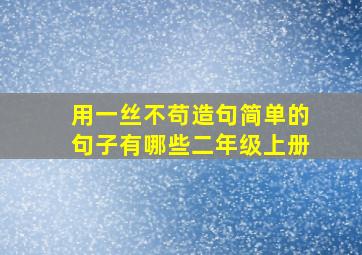 用一丝不苟造句简单的句子有哪些二年级上册