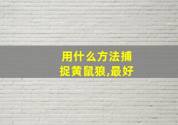 用什么方法捕捉黄鼠狼,最好