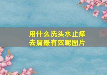 用什么洗头水止痒去屑最有效呢图片