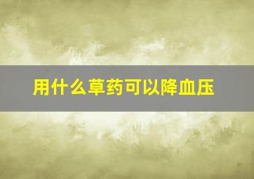 用什么草药可以降血压