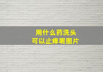 用什么药洗头可以止痒呢图片