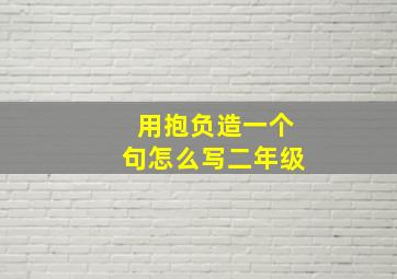 用抱负造一个句怎么写二年级