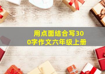 用点面结合写300字作文六年级上册