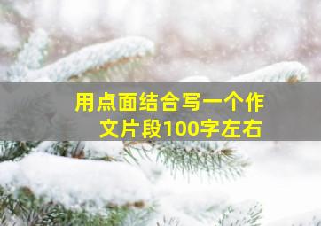 用点面结合写一个作文片段100字左右