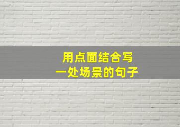 用点面结合写一处场景的句子